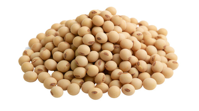 Pile of raw soybeans with visible hilum