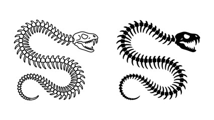 Snake Skeleton Graphic: A striking graphic illustration showcasing the skeletal structure of a snake in two distinct styles, one detailed and the other silhouetted. © Mohammad