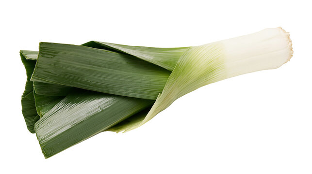 Fresh green leek vegetable with white base