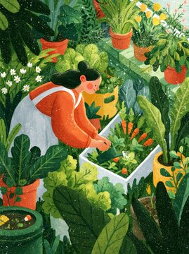 Gardener's Delight: The Heart of a Garden