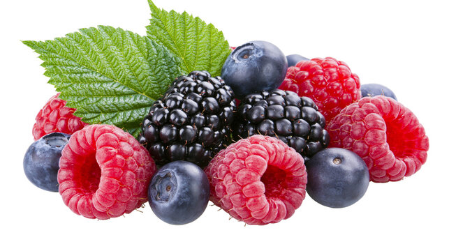 Fresh raspberries blackberries, and blueberries with green leaves