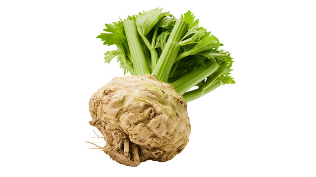Celery root with green stalks and leaves