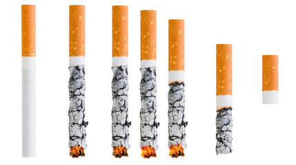 Unlit and burning cigarettes with ash and glowing embers © Antonio