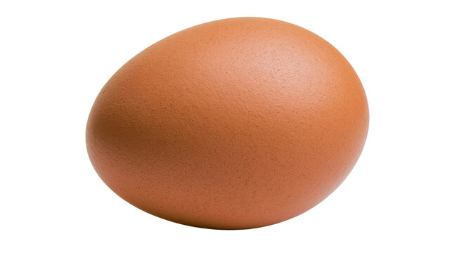 Brown chicken egg with textured shell