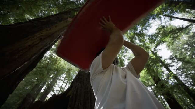 Man Holding Red Painted Board Overhead in Redwood Forest - Low Angle, Slow Motion