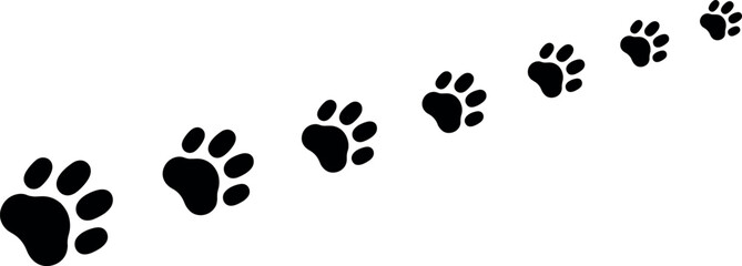 Fototapeta premium A sequence of black animal paw prints trailing diagonally across a white background, showing the path of a playful pet.