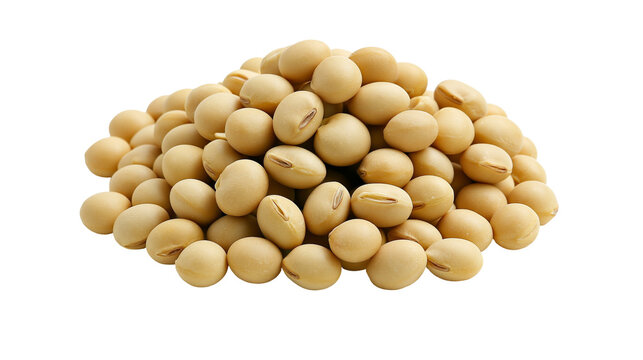 Pile of dried soybeans with light brown color