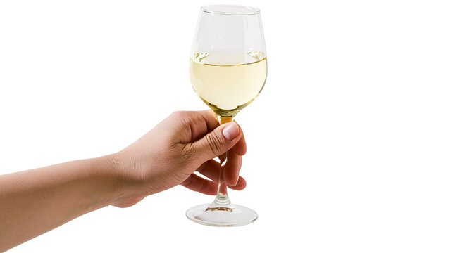 Hand holding glass of white wine