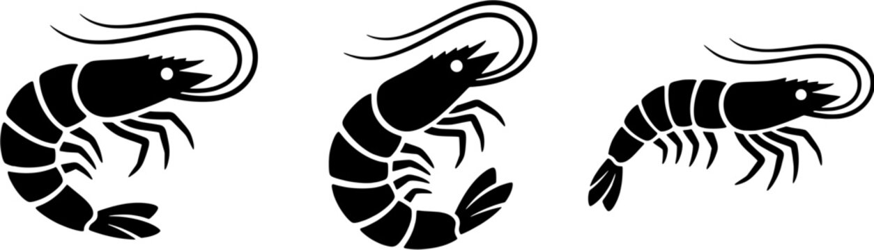 Shrimp icon set in a flat black silhouette style including different poses of crustaceans for seafood and marine life design.