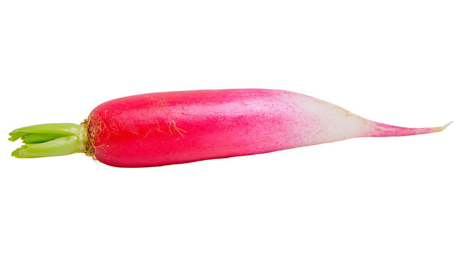 Long red radish with green leaves