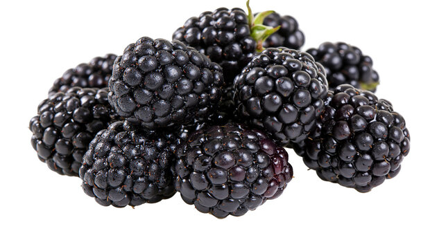 Heap of ripe blackberries with visible drupelets and green stem