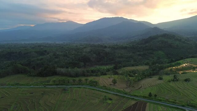 Aerial view of lush rice terraces in Kemumu, Arma Jaya, with mountains in the background under a soft sunset sky in Arga Makmur, Bengkulu, Indonesia.