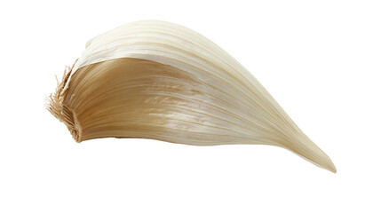 Single garlic clove with papery skin © Maelle