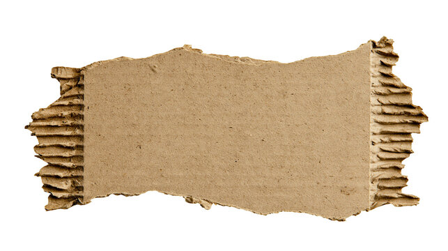 Torn corrugated cardboard piece with rough edges