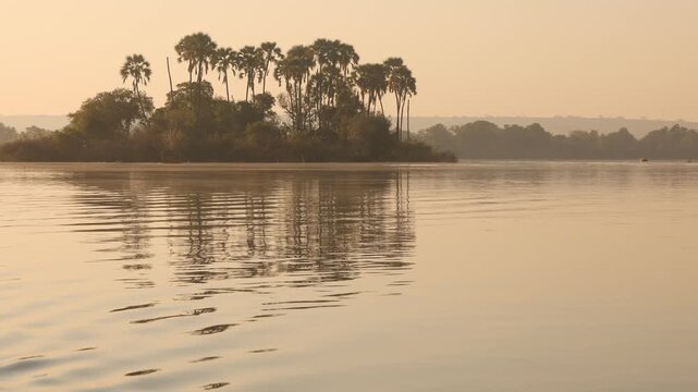 palm trees and sunrise on the Zambezi River, Zambia, Africa