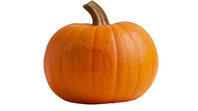 Orange pumpkin with thick stem and ribbed texture