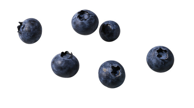 Several ripe blueberries scattered on white