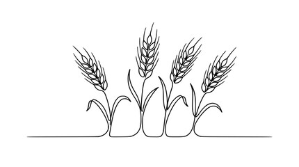 Wheat ears continuous one line drawing vector illustration agricultural grain plant harvest minimal sketch art design element © MdSabbir