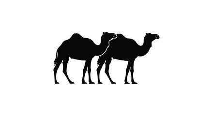 Fototapeta premium Camel Silhouette Against A White Background Desert Animal Shape