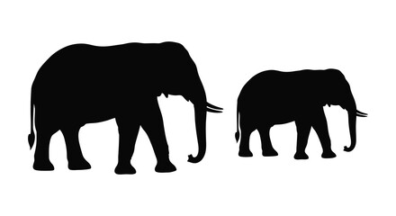 Fototapeta premium Elephant Silhouette Pair On White Background african elephant