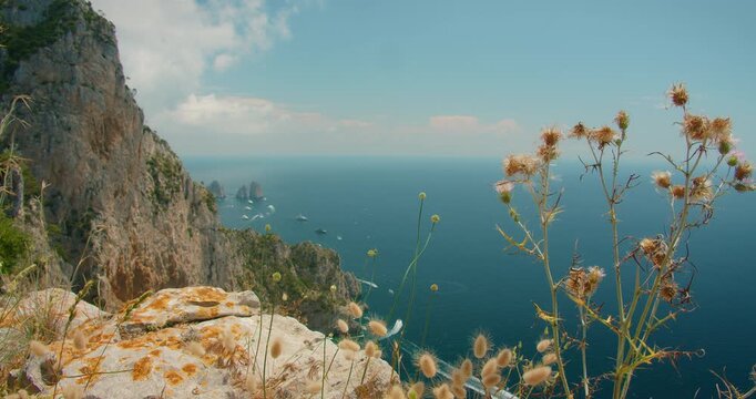 Summer view from Capri island cliffs showing wildflowers and boats on the blue sea in summer day