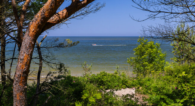 Krynica Morska, view of the beach and the sea from the dunes. Vistula Spit, Poland.