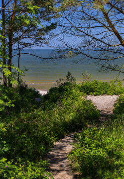 Krynica Morska, path through the dunes to the beach.