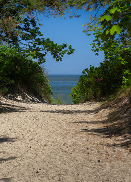 Path through the dunes to the beach. Krynica Morska, Poland.