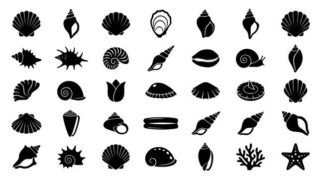 Seashell silhouettes vector icon set featuring diverse ocean shells clams starfish coral and oyster marine elements for nautical graphic design