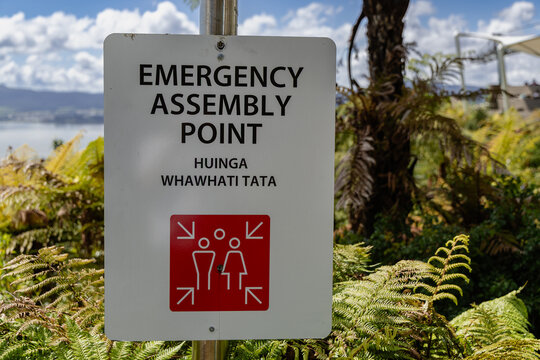 Emergency Assembly Point Huinga Whawhati Tata Sign