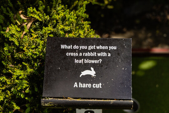 Get Cross Rabbit Playful Outdoor Board