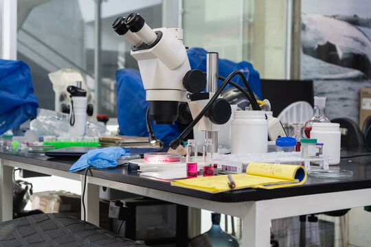 Microscope on laboratory desk with science samples and research equipment