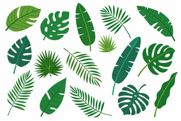 tropical leaves vector illustration on white background © VectorArt