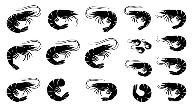 Shrimp and prawn black silhouette vector icon set featuring marine wildlife shellfish seafood restaurant menu and culinary design elements