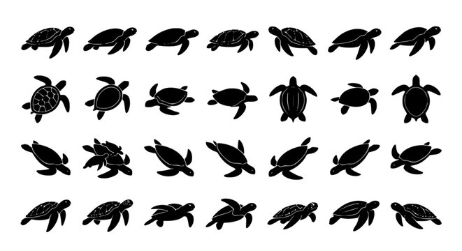 Sea turtle silhouette vector icon collection featuring swimming marine reptiles hawksbill green leatherback loggerhead and ocean wildlife animal emblems