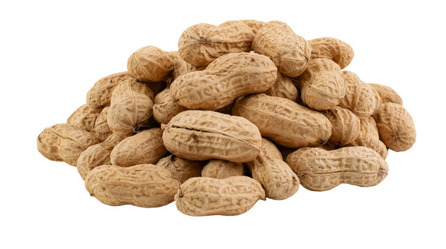 Pile of unshelled peanuts with textured brown shells