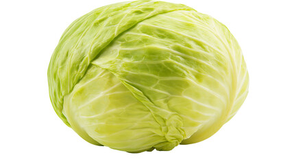 Fototapeta premium Green cabbage head with crisp leaves