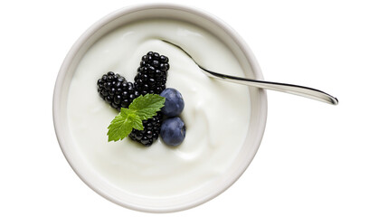 Creamy yogurt with blackberries blueberries, and mint leaf in bowl with spoon © Friedrich
