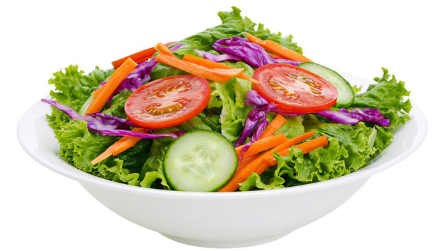 Fresh garden salad with lettuce tomato cucumber carrot, and red cabbage