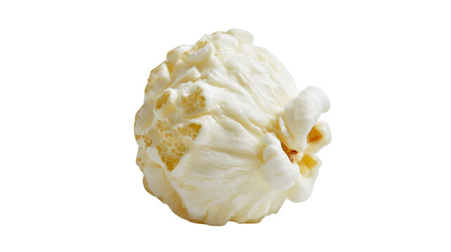 Fluffy white popcorn kernel with golden brown spots