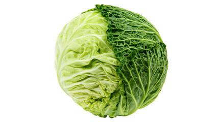 Obraz premium Savoy cabbage with light green and dark green leaves