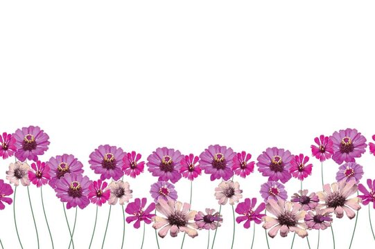 Summer flowers watercolor background. Animated 4k