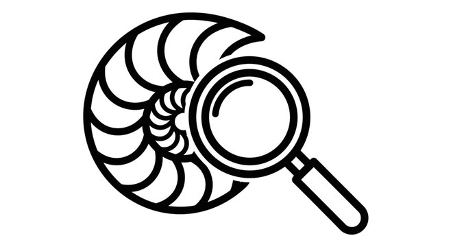 Magnifying glass inspecting a nautilus shell spiral icon.