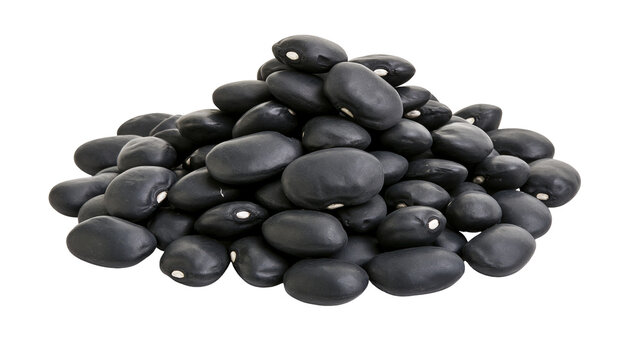 Pile of black beans with white hilum