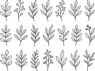 Hand drawn botanical leaves and berry twigs set isolated on a white background © moshaharul