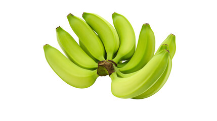Bunch of unripe green bananas on white © Femke