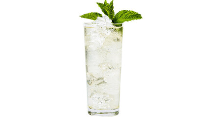 Tall glass of iced drink with mint leaves © Solene