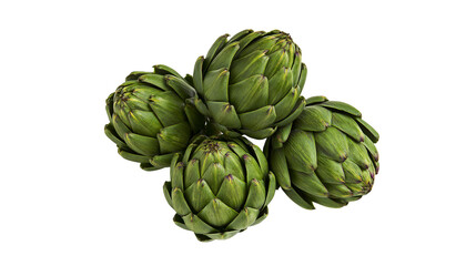 Fototapeta premium Four fresh green artichokes arranged closely together