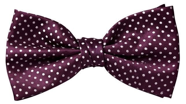 Polka dot bow tie, plum color with white dots