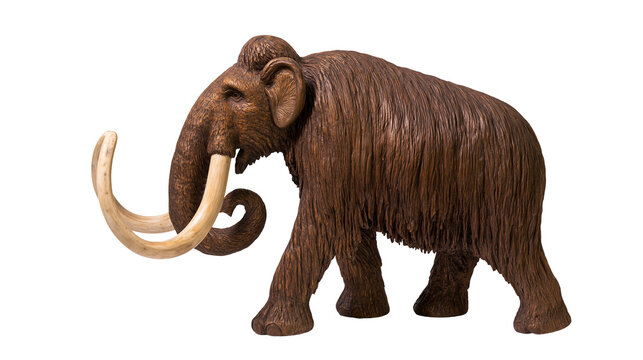 Woolly Mammoth with large curved tusks and shaggy brown fur